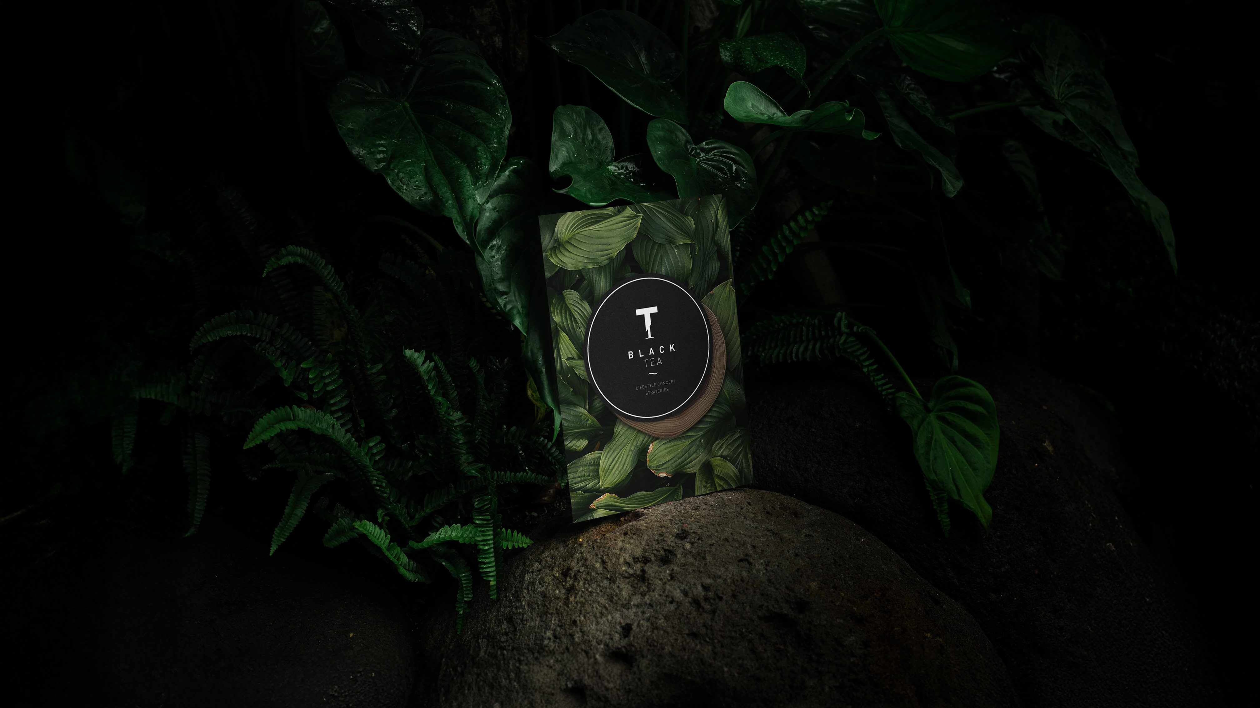 Big Slider Project Image