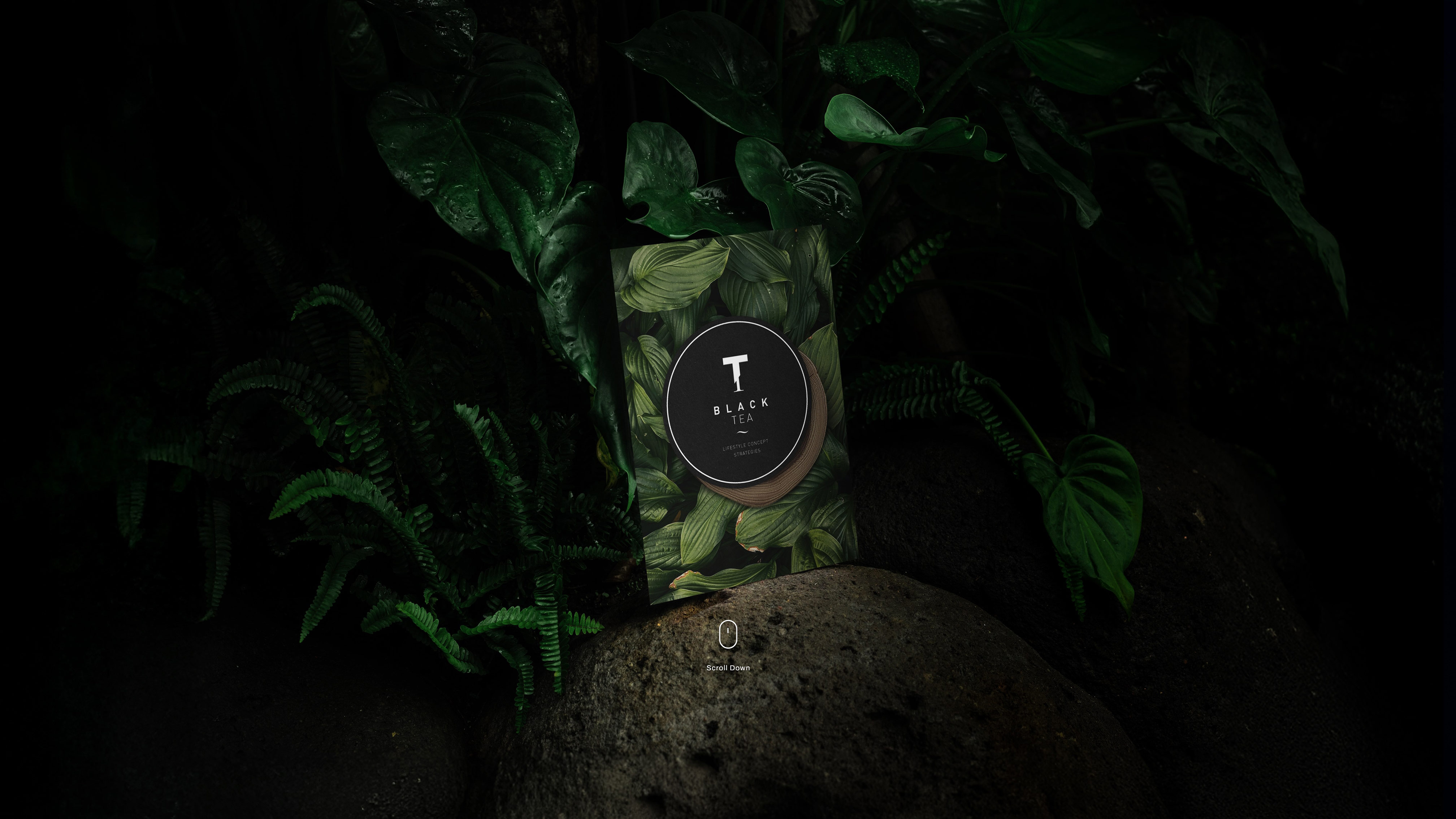 Project Header Image