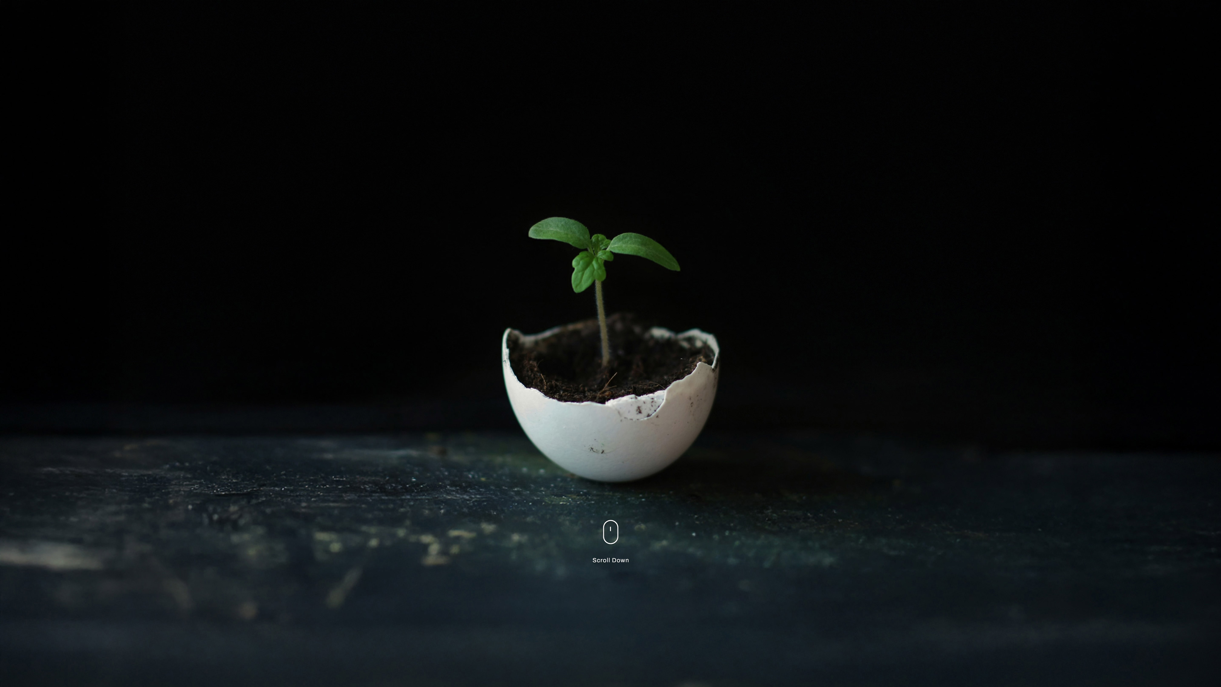 Project Header Image